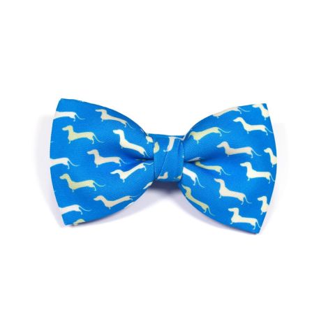 Dogs Classic Bow Tie by Veronica Perona